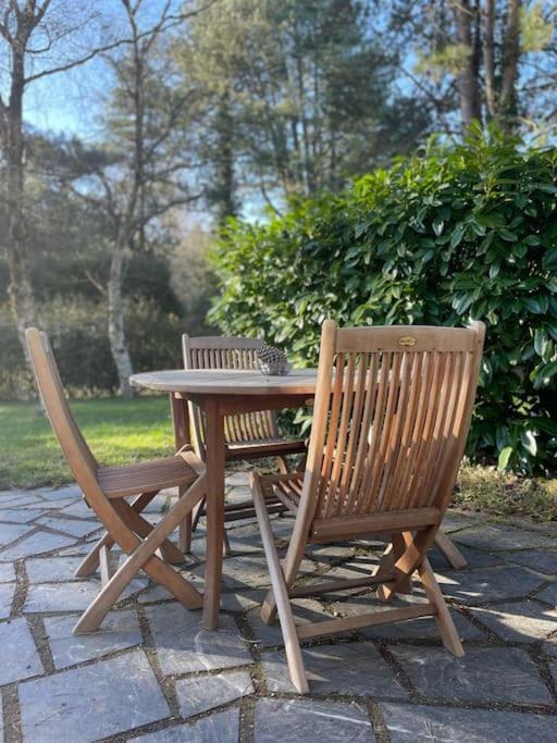 Le Rosa: Villa De Charme Entre Mer Et Pinede Quend Exterior foto